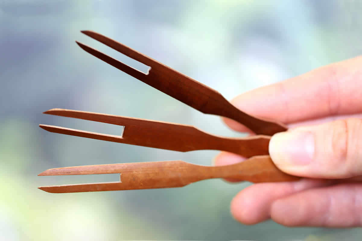 煤竹菓子楊枝