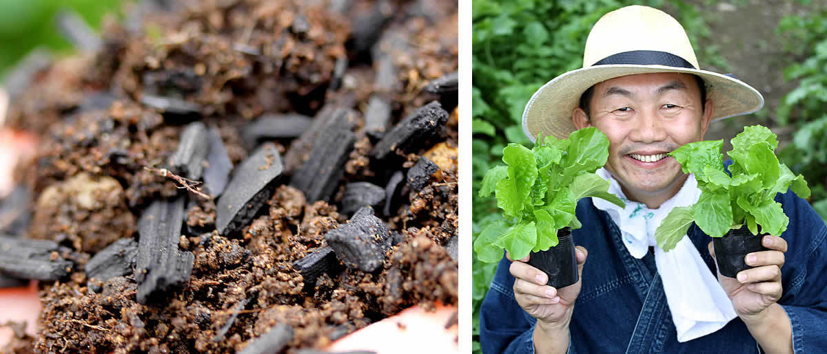 竹炭（園芸用）土壌改良、園芸用 国産竹炭で土に活力 多孔質の竹炭で ...