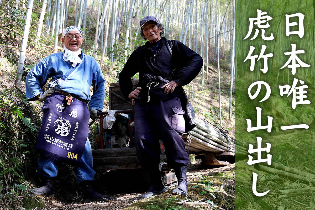 竹の伐り出し作業「山出し」。日本唯一の虎斑竹がどのように山から運び出されていくのかご紹介します。