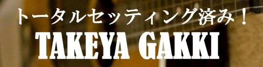 タケヤ楽器 調整済みで究極の弾き心地