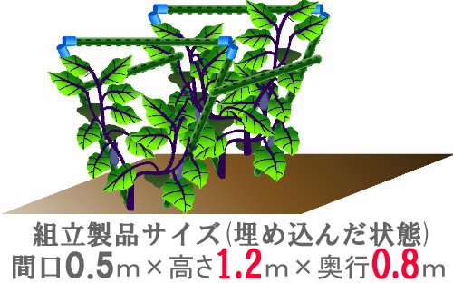 なす②様ご確認ページ 楽天市場】訳あり 泉州 生 水なす 20個 約3kg 水ナス 水茄子