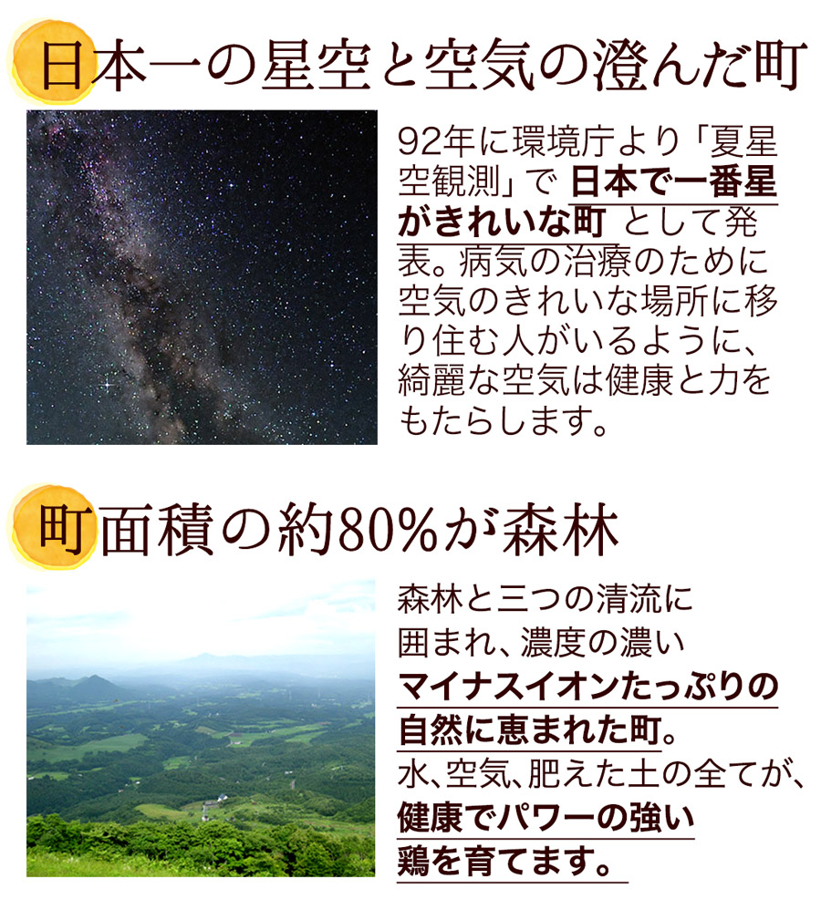 卵 にんにく卵 〔生卵160個入(生卵128個+破損保証32個)〕 玉子 たまご