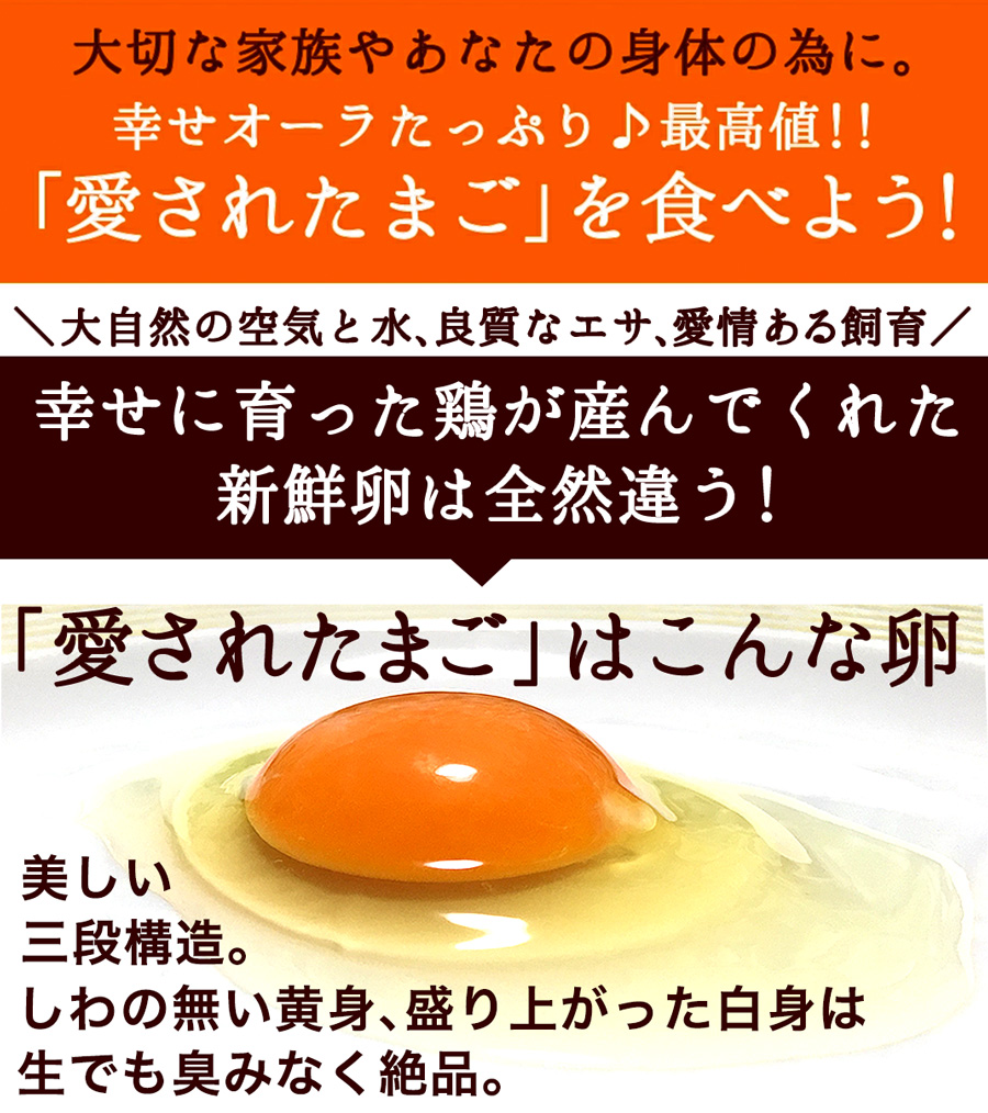 卵 究極の卵かけご飯セット〔緑の一番星(生卵12個)＋高波動米1kg＋専用