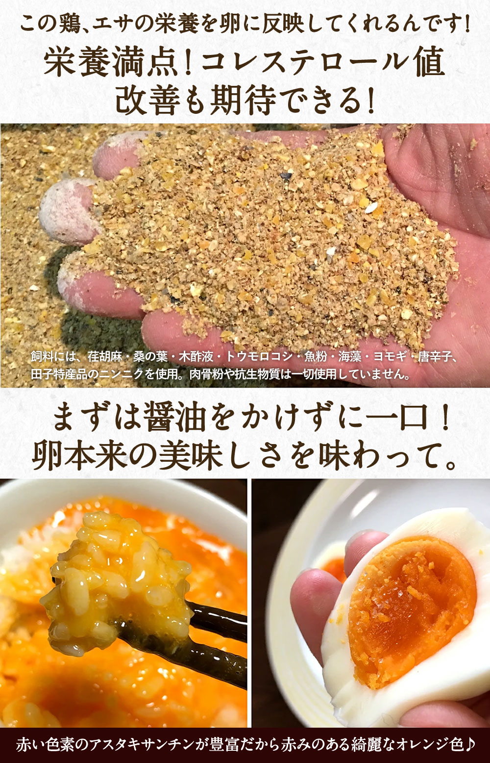 卵 生卵 高級卵 いとしのきみ 〔生卵10個入×1箱〕 緑の一番星 1日限定