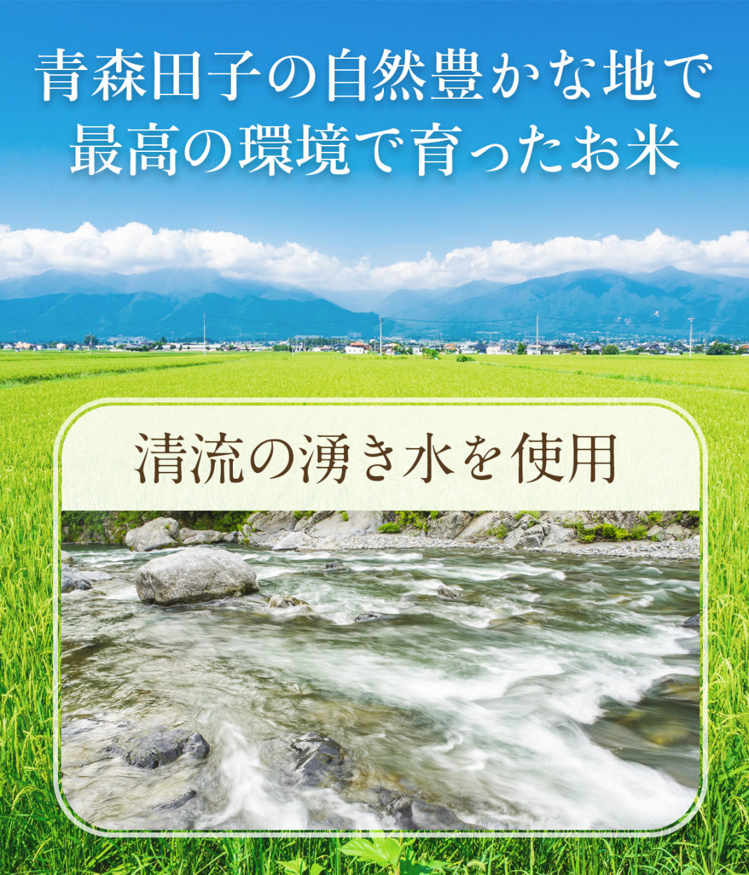 卵 究極の卵かけご飯セット〔緑の一番星(生卵12個)＋高波動米1kg＋専用醤油1本〕たまご 母の日｜takkotamagomura｜06