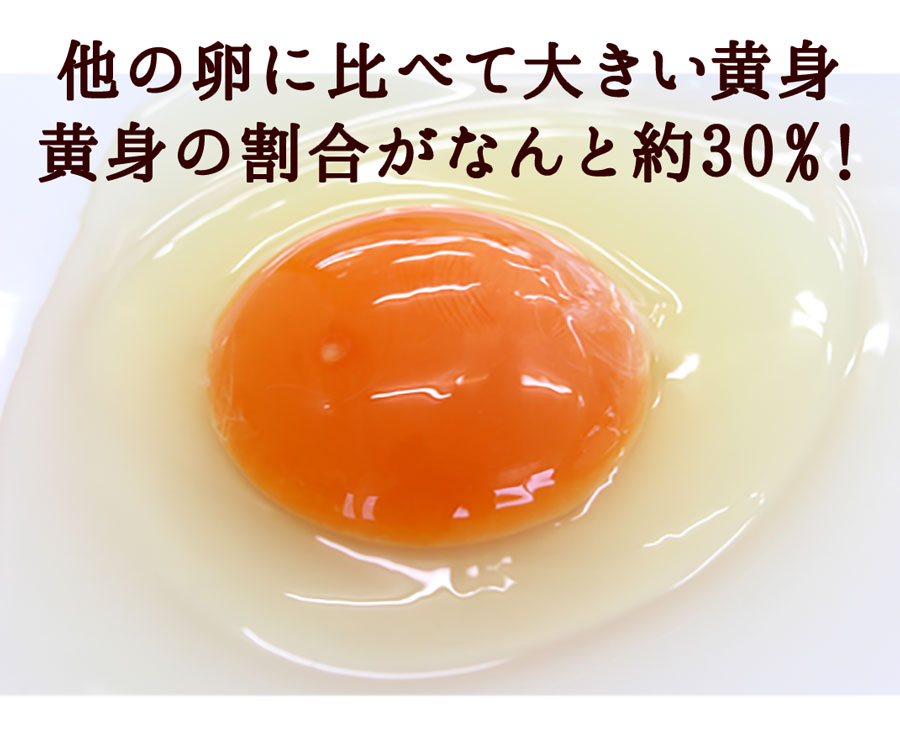 卵 究極の卵かけご飯セット〔緑の一番星(生卵12個)＋高波動米1kg＋専用醤油1本〕たまご ギフト｜takkotamagomura｜13