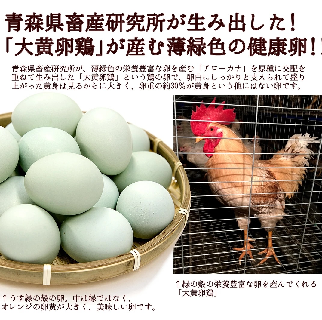 緑RN