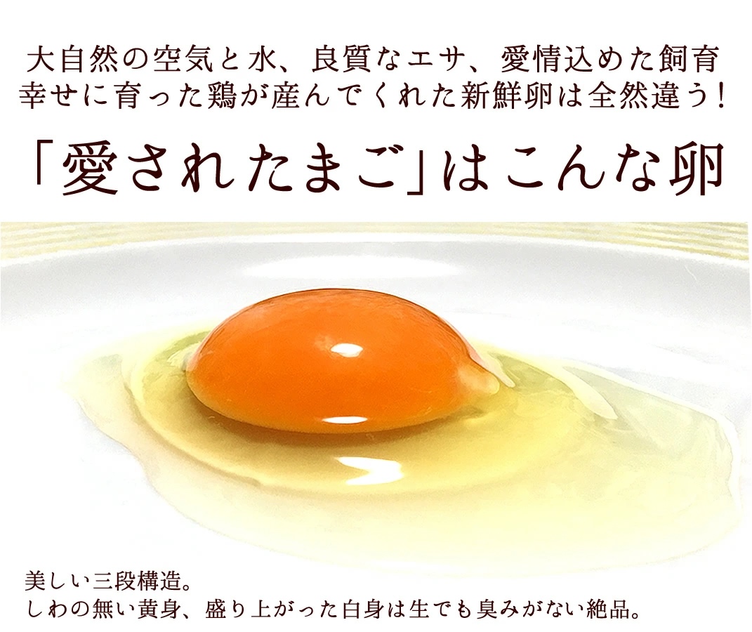 愛されRN