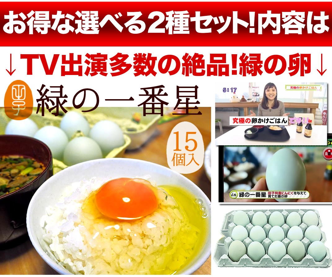 正規品】 食べ比べ 新鮮愛されたまご2種お試しセット30個 生卵25個+破損保証5個 緑の一番星15個+にんにく卵or平飼い有精卵15個  saropackaging.eu