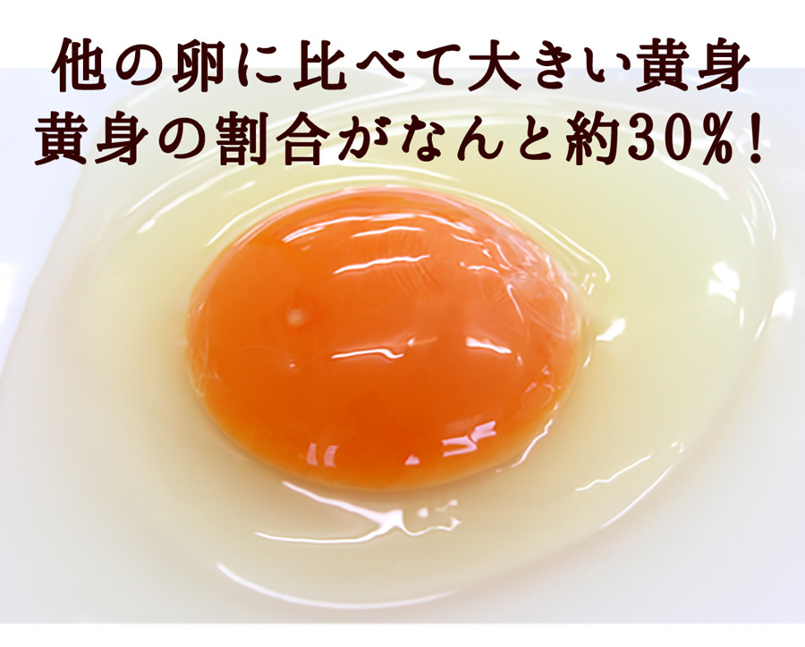 父の日 遅れてごめんね 緑の卵プリン〔8個入〕(白2、黒2)×2セット プリン 緑の一番星使用 高級 スイーツ｜takkotamagomura｜12