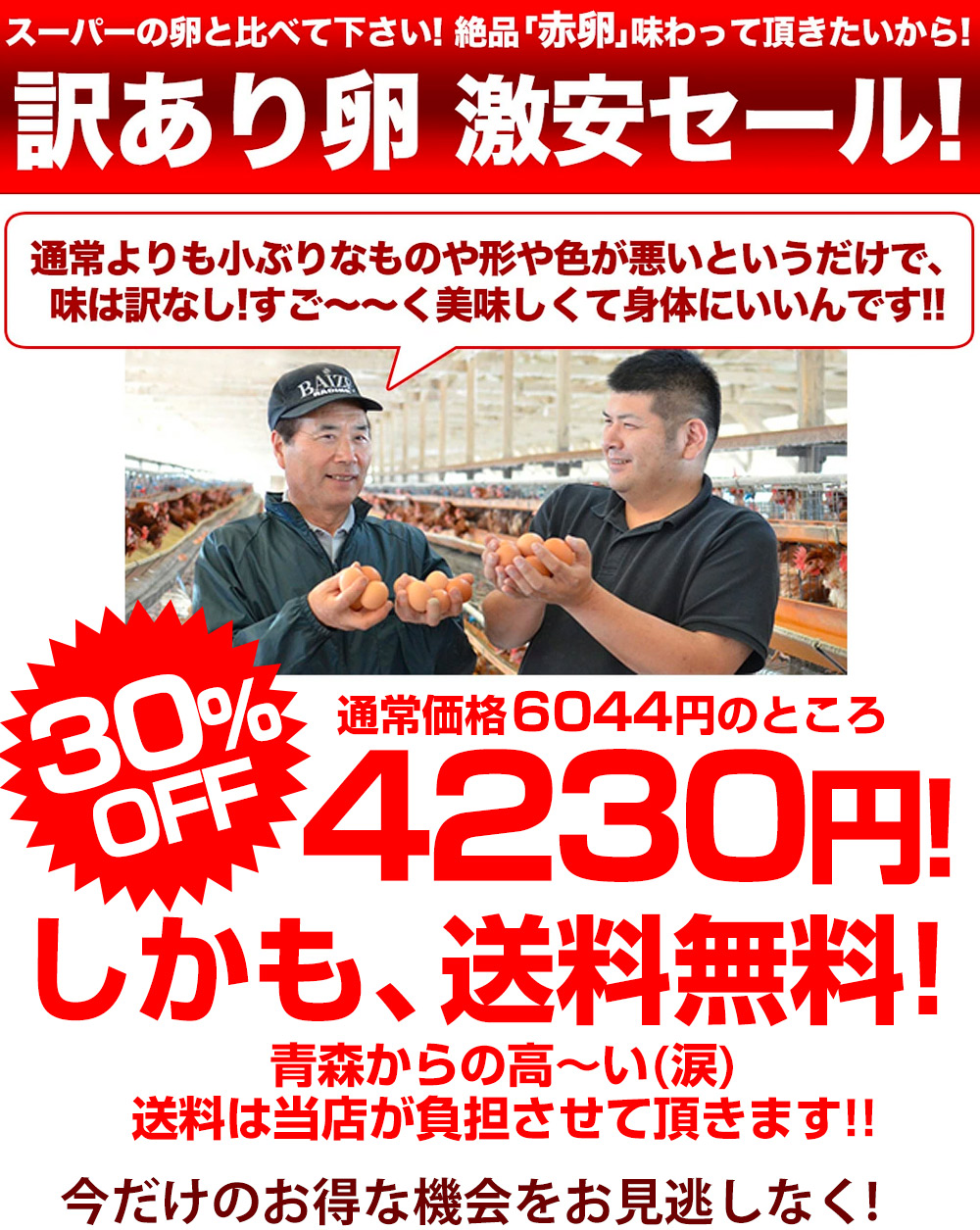 訳あり卵説明