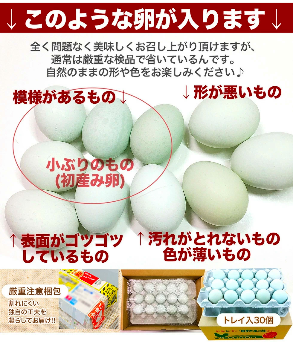 訳あり卵説明