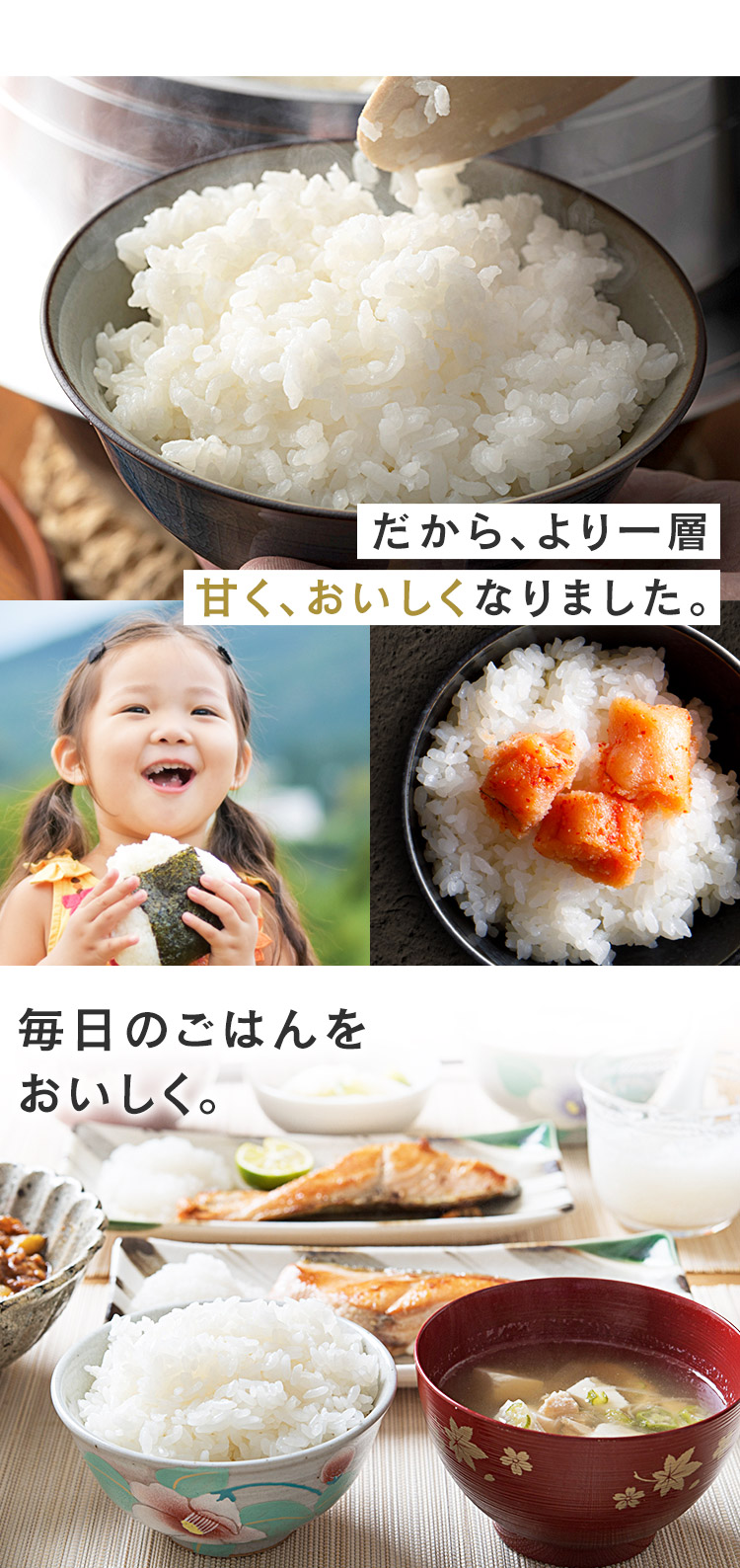 IRIS OHYAMA 無洗米 300g 送料無料 魚沼産こしひかり 令和6年産