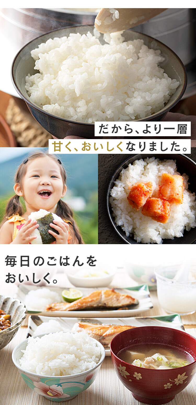 国産米　精米（無洗米）約26kg +追加のお米約3kg はえぬき 令和6年産 米 お米 10kg×2 玄米20kg 山形産 白米・無