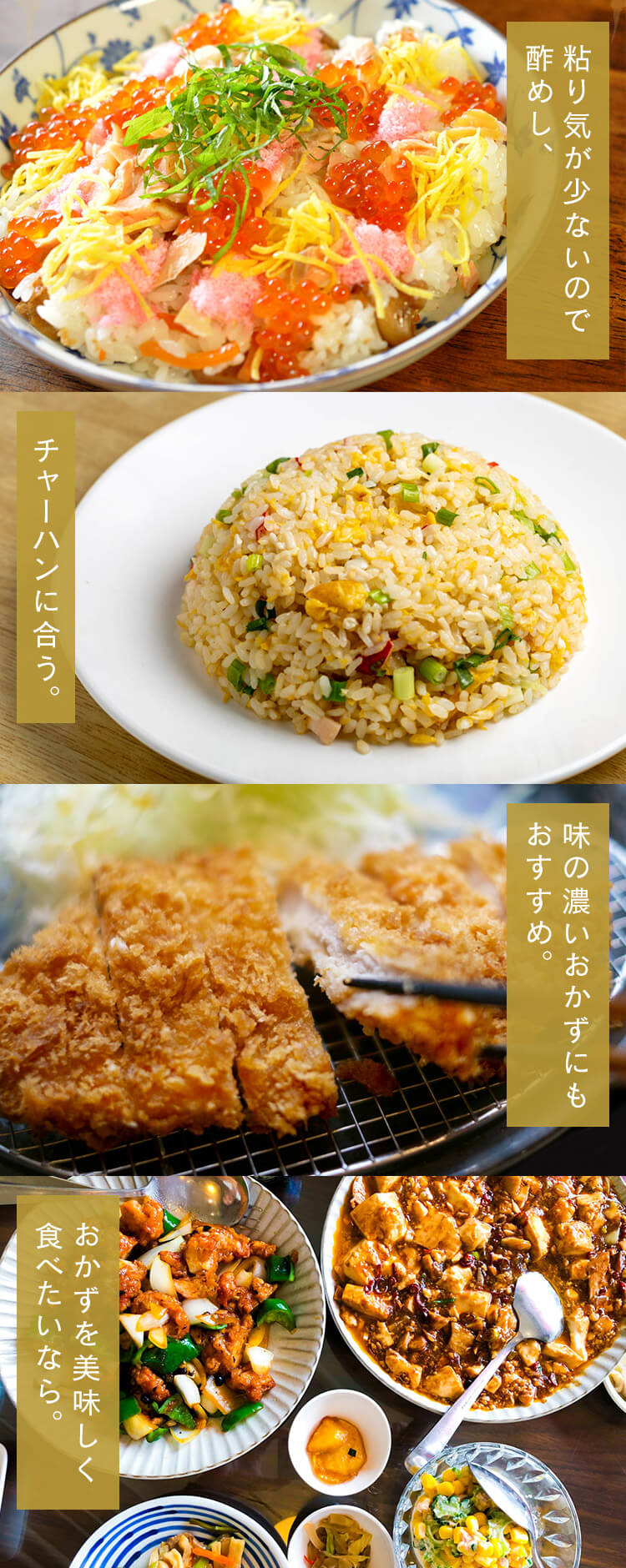 IRIS OHYAMA（アイリスオーヤマ） 米 10kg 送料無料 令和6年産 宮城県