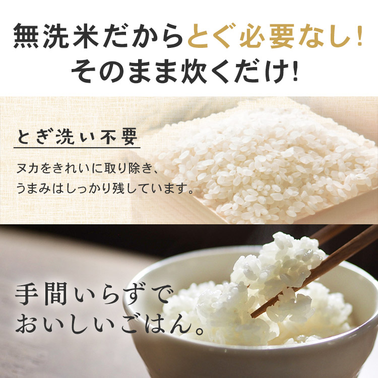 新米 令和5年産 米 無洗米 2kg 新潟県産 こしひかり お米 精米 低温