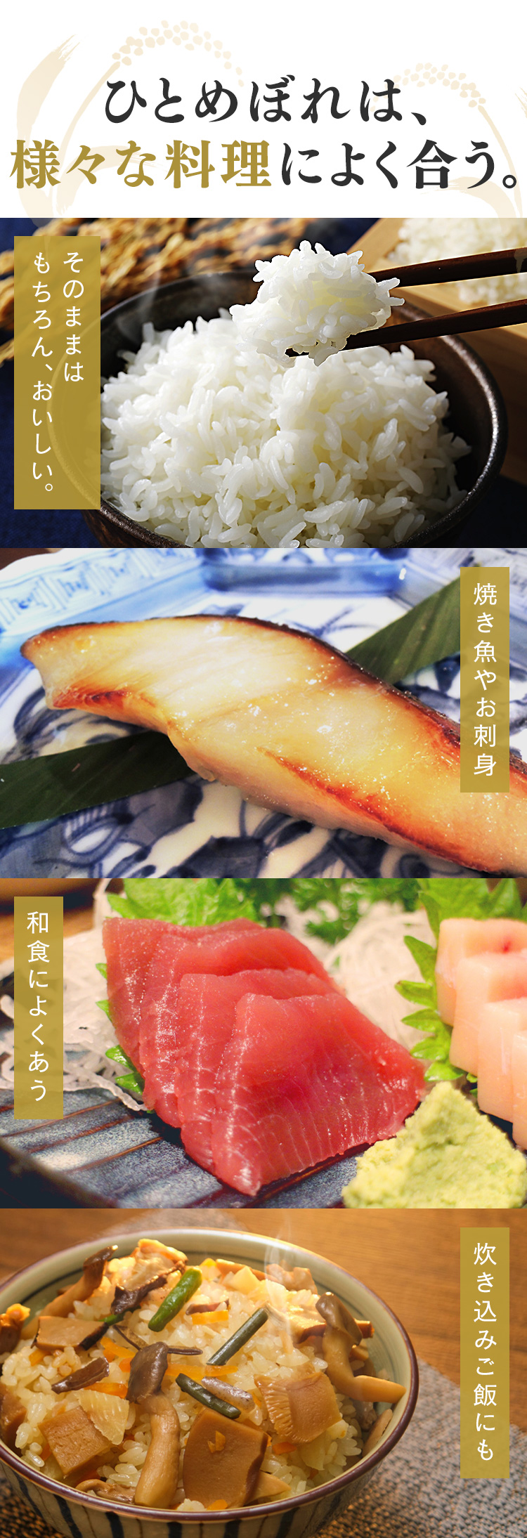 IRIS OHYAMA 米 10kg 送料無料 選べる 精米 5kg 令和6年産 低温
