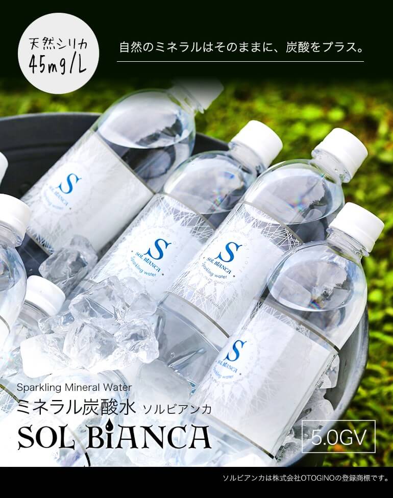 炭酸水 500ml 24本 シリカ炭酸水 最安 SOL ソール天然水仕込み ペットボトル 送料無料 :7151568:くらしの宅配便 - 通販 -  Yahoo!ショッピング