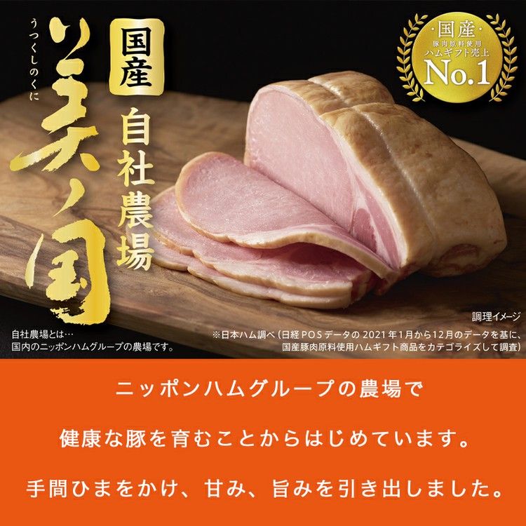 日本ハム ギフト 国産 プレミアム 美ノ国 UKI-55 お中元 冷蔵