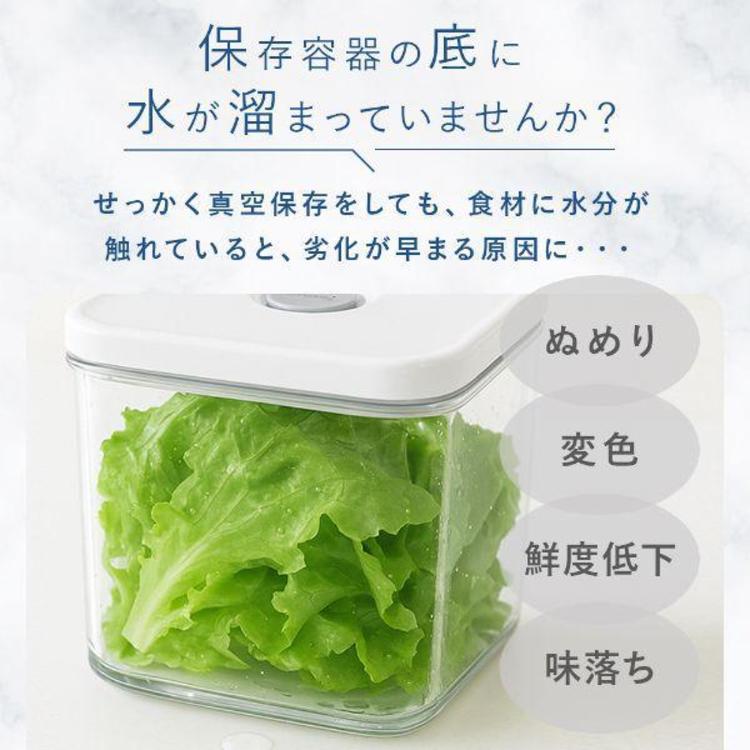 真空保存容器 BPAフリー 密閉 自動 電動真空 食洗機対応 冷凍庫対応