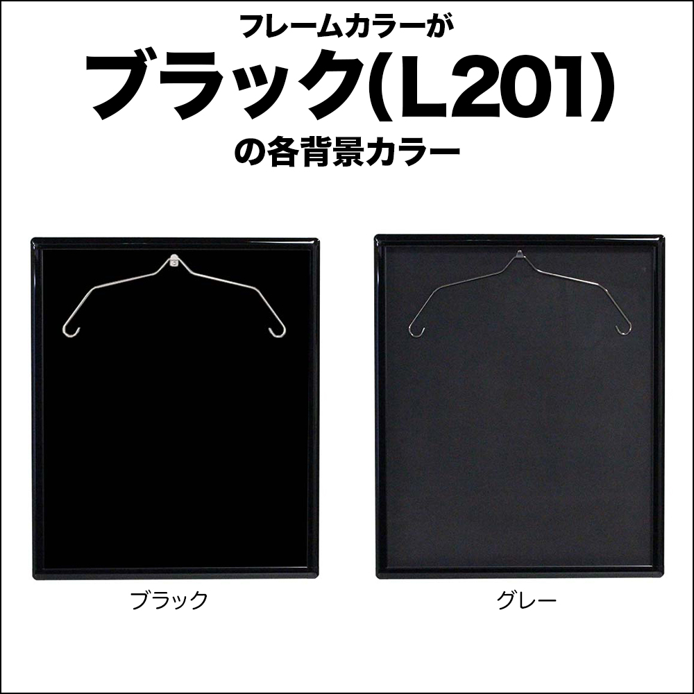 大型送料別商品】【メーカー直送品】ユニフォーム 額縁【L201 M