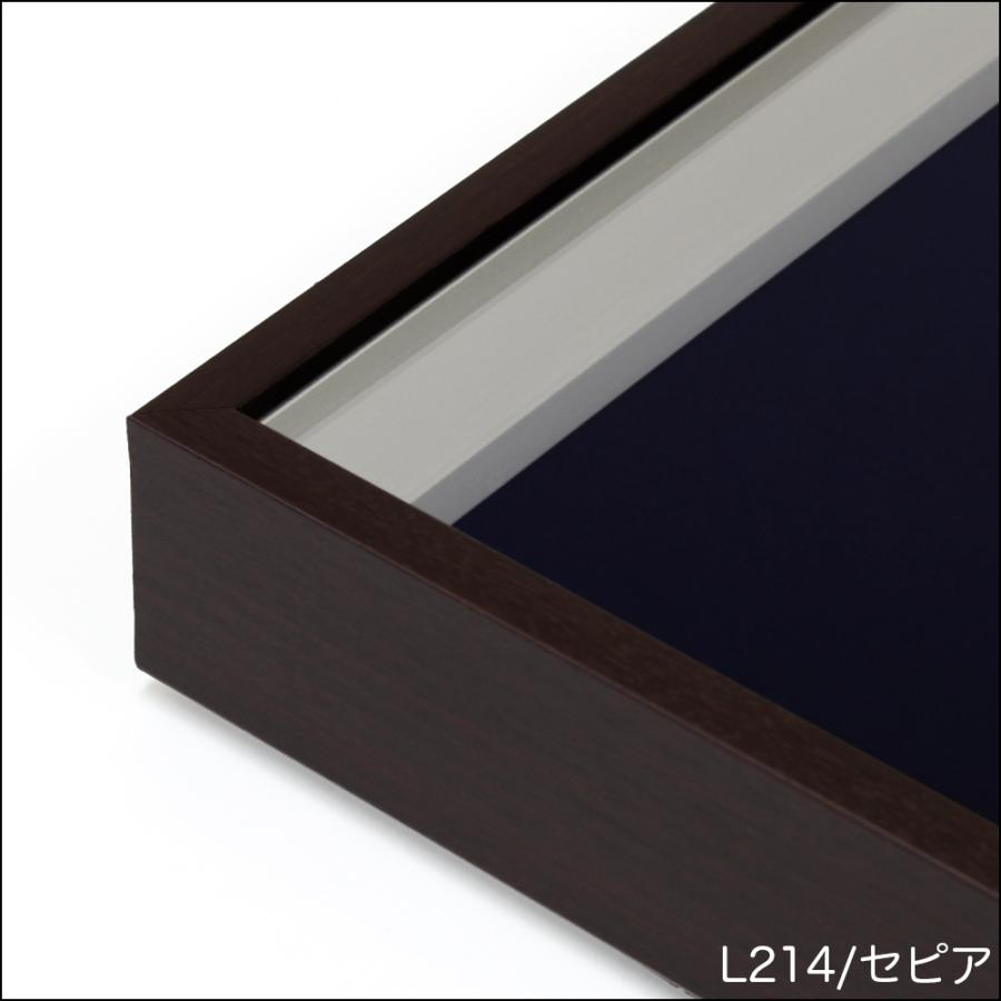 ユニフォーム用額縁 大型送料別商品】【メーカー直送品】ユニフォーム 額縁【L214
