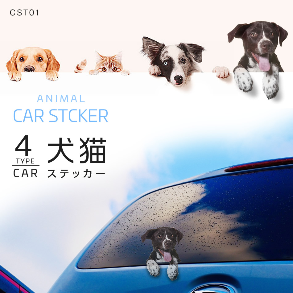 カーステッカー 犬 猫 アニマル ドレスアップ 車 バイク ステッカー シール 動物 猫 犬 覗き見 かわいい トラック・カー用品  :cn-cst01:匠トラックショップ ヤフー店 通販 