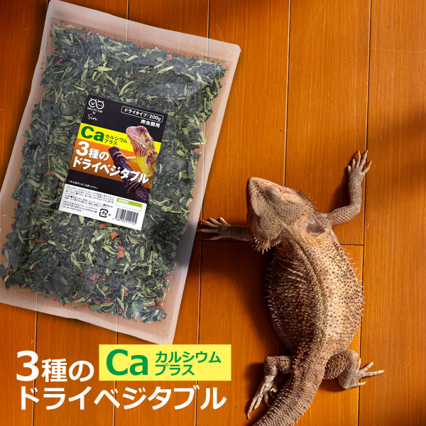঒ޗp 3̃hCxW^u JVEvX 200g ঒ޗp  `Q jW 卪̗t Y_JVE SMILE PET CLUB NbN|Xg