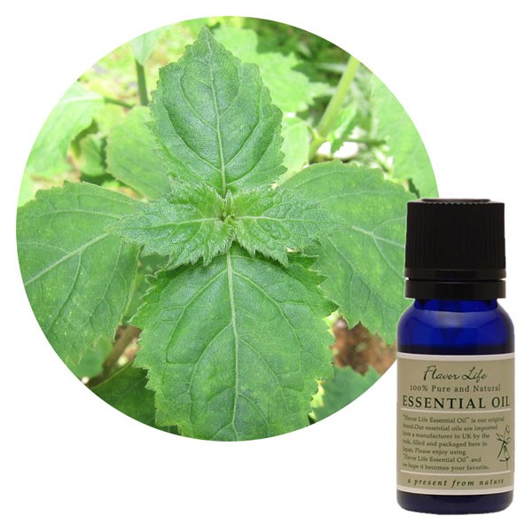 FL エッセンシャルオイル パチュリ 10ml 精油 フレーバーライフ アロマ