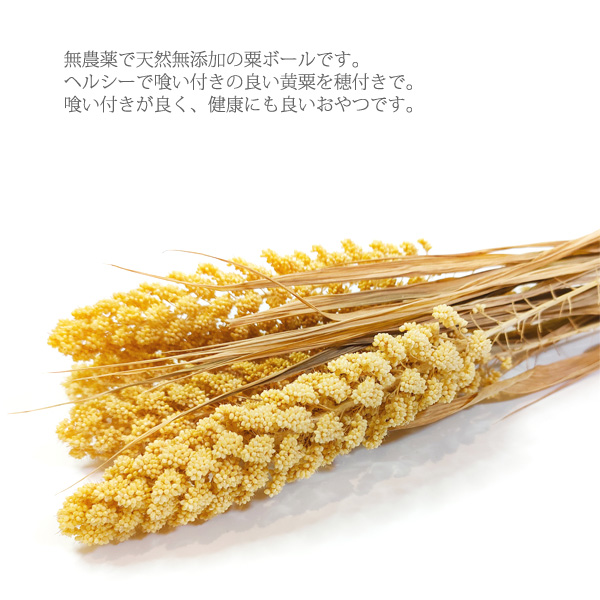 無農薬 粟ボール 50g インコ 小鳥 餌 エ...の詳細画像1