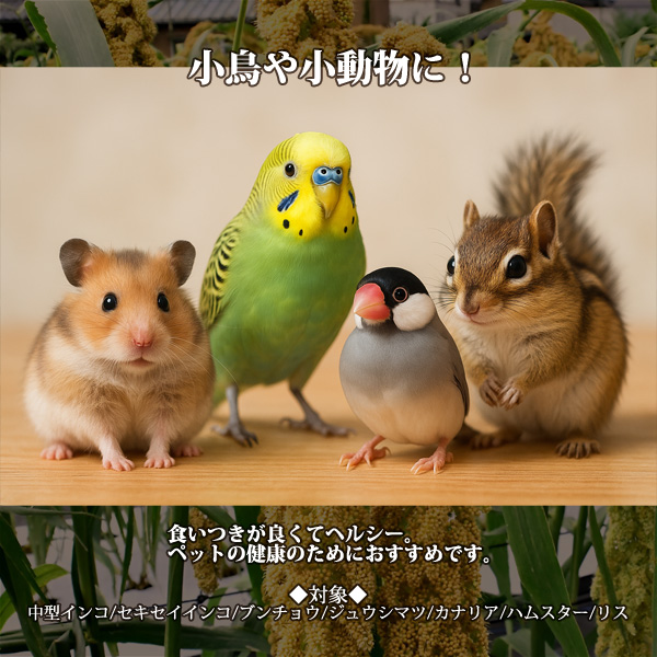無農薬 粟ボール 50g インコ 小鳥 餌 エ...の詳細画像2
