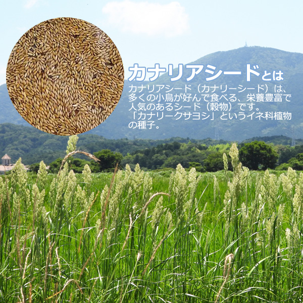 SMILE PET CLUB 無添加 カナリアシード 500g 小鳥のエサ インコ 文鳥