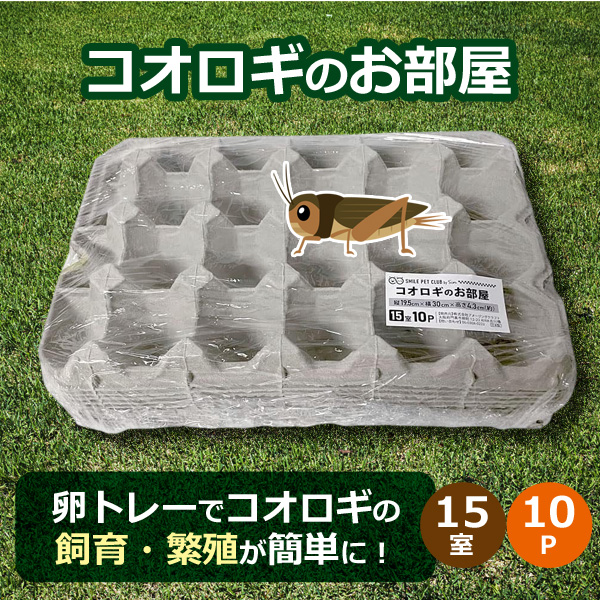 送料込　昆虫キッズ  Around Tokyo Vol.9  自主盤　新品 昆虫キッズ☆自主制作盤2枚セット☆ - メルカリ