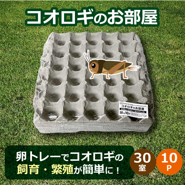SMILE PET CLUB コオロギのお部屋 30室 10個セット コオロギ 飼育 
