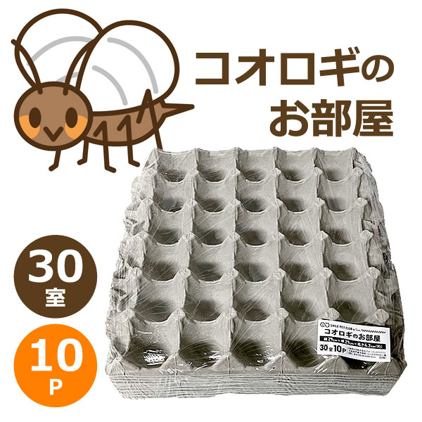 コオロギのお部屋 30室 10個セット コオロギ 飼育ケース 295x295xH43mm 昆虫 飼育 繁殖用 卵トレー 卵パック SMILE PET  CLUB : cricket-room30 : 匠ーTAKUMIー - 通販 - Yahoo!ショッピング