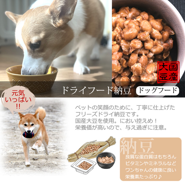 フリーズドライ納豆 犬 ドッグフード 100g 国産大豆使用 天然素材