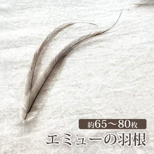 G~[̉H 4g 65`80  K^  ANZT[ nhCh f `O
