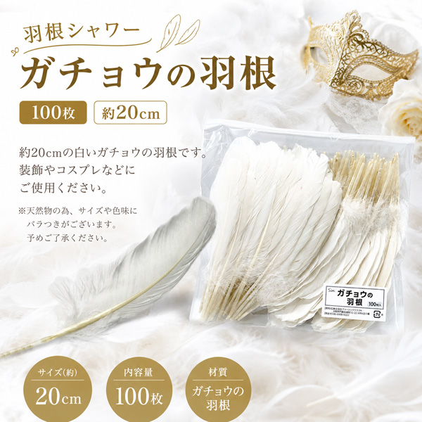 バラ売り1200円チャコット白鳥14個胸羽飾り20㌢✖️20㌢ 羽根シャワー ガチョウの羽根 100枚 約20cm 白 天然 フェザー 装飾