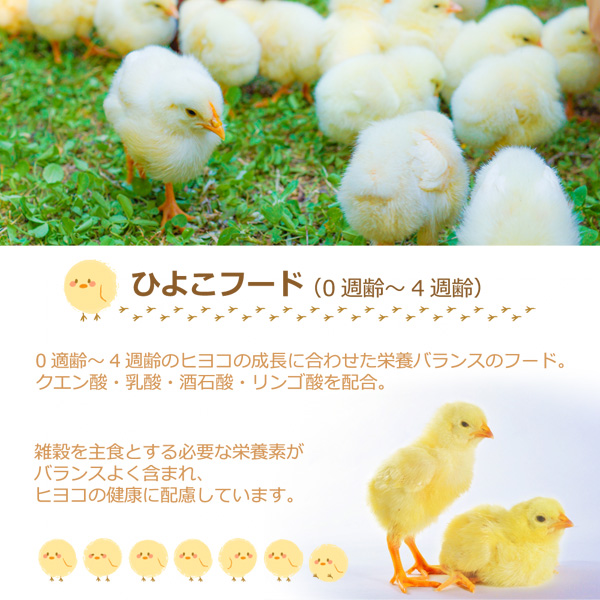 冷凍ヒヨコのおすすめ人気商品一覧 通販 - Yahoo!ショッピング