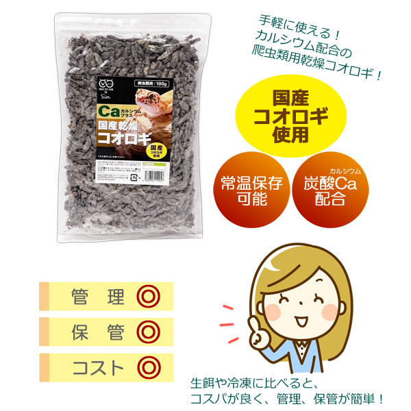 国産 乾燥コオロギ カルシウムプラス 100g 爬虫類用 日本飼育のフタ