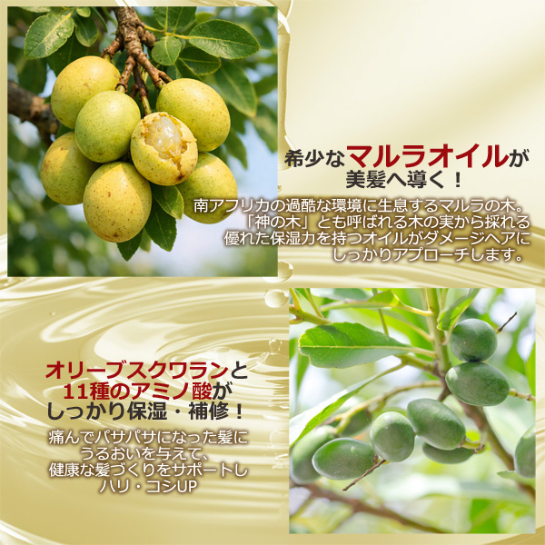KAIKA M リペアトリートメント 100ml 洗い流さないトリートメント