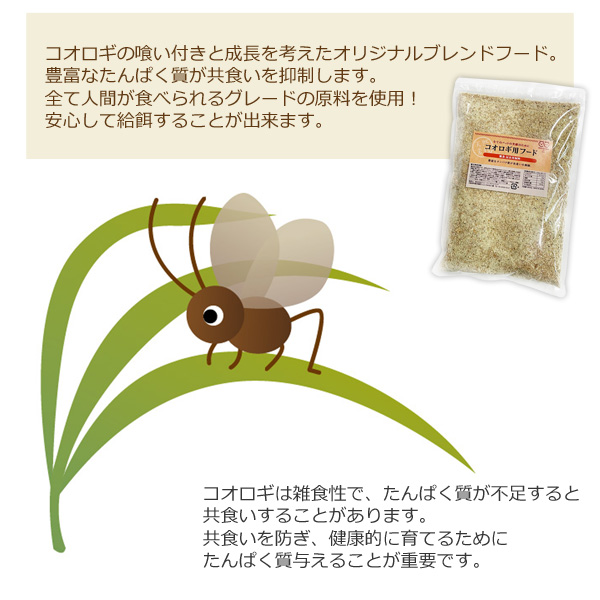 コオロギ用フード 300g 高タンパク 高栄養 コオロギの餌 飼料 共食い