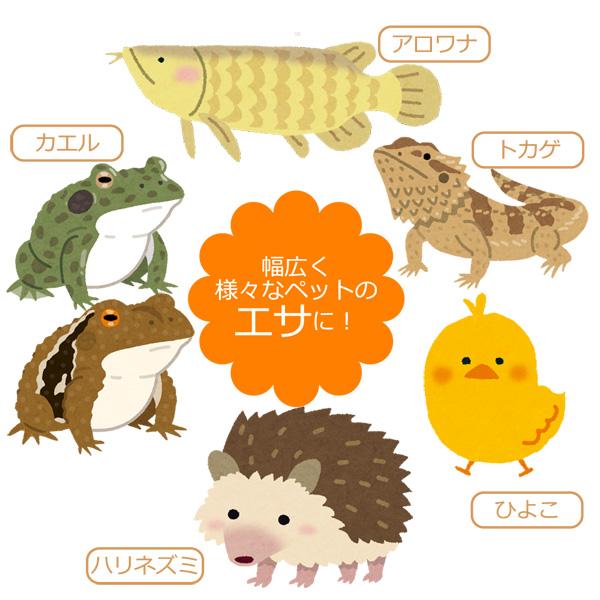 最新作最新作乾燥 コオロギ 100g 約1000匹〜1200匹 ドライコオロギ イエコオロギ 爬虫類 両生類フード 爬虫類、両生類のエサ 乾燥 コオロギ 200g (約2000匹〜2200匹)イエコオロギ 食用 爬虫類 観賞魚 小動物 鳥類の餌に