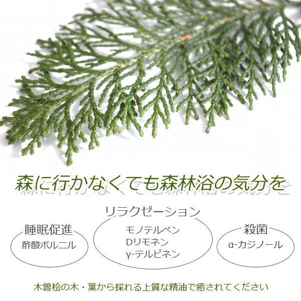 meet tree mtシャンプー 400ml ヒノキの香り アミノ酸系シャンプー