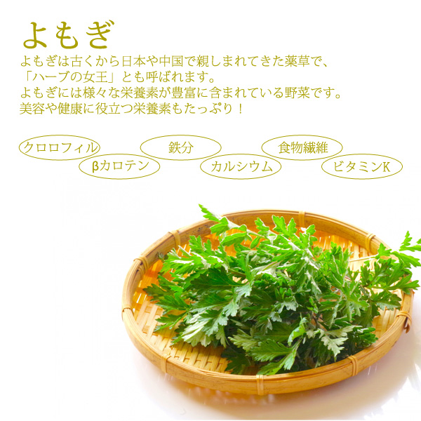 よもぎ 粉末 100g よもぎ茶 乾燥 ヨモギ...の詳細画像2