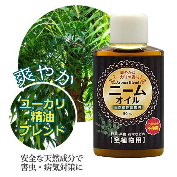 石膏 吉野石膏ハイストーンN （大袋）20kg ph中性タイプ