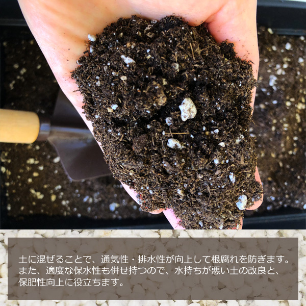 パーライト 3L 3〜6mm 土壌改良材 園芸 肥料 畑 高品質 軽量 : 匠ー