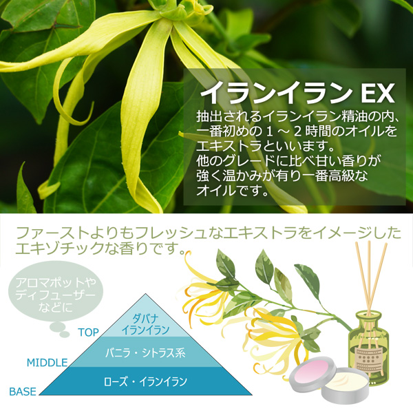業務用 アロマエッセンス イランイランEX 500ml YlangYlangEX アロマ