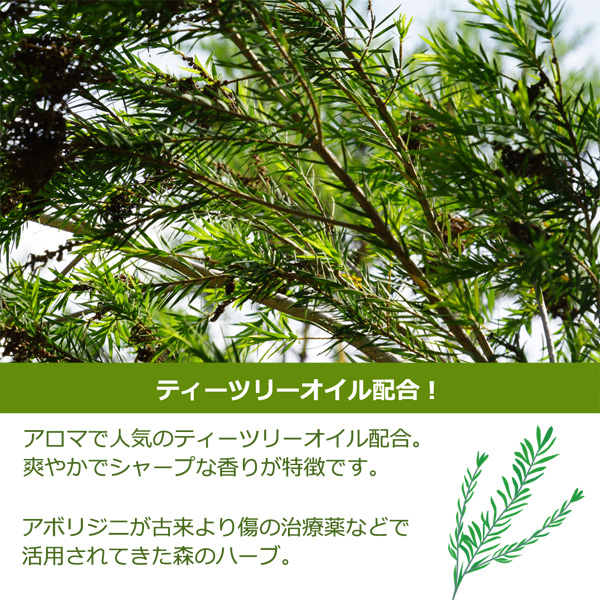 アメージングクラフト 日本製 子供も使えるナチュラル ティーツリー