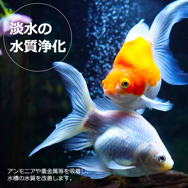 ゼオライトの商品一覧 通販 - Yahoo!ショッピング